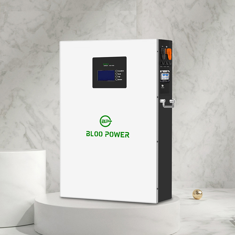 IP65 5KWh 10KWh Wall Mounted Lithium ion LiFePo4 Battery Energy Storage System
