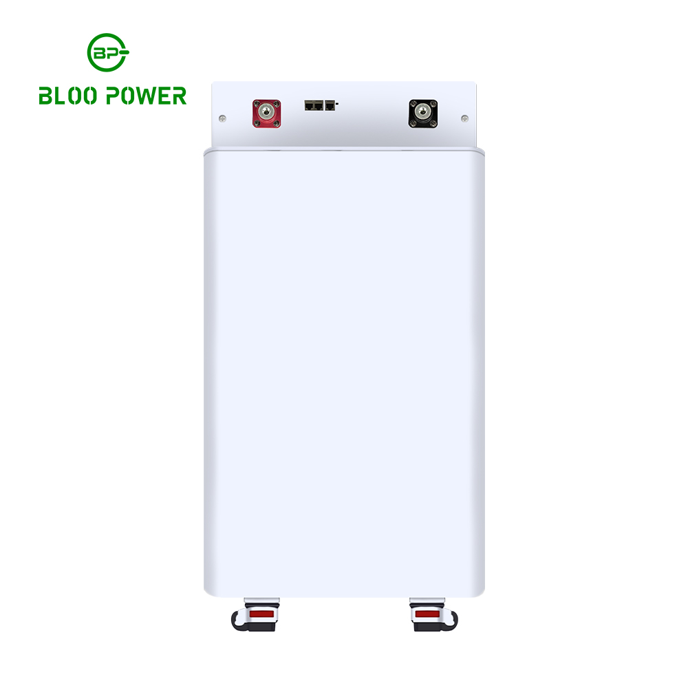 Popular Lithium Energy Storage 51.2 V 100 Ah 200 Ah 300 Ah Battery Wheel Stand