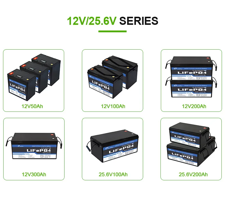 Energy Storage System Ess Lifepo4 Bms 8S 24V Lifepo4 Akku Lithium Battery Pack for Rv