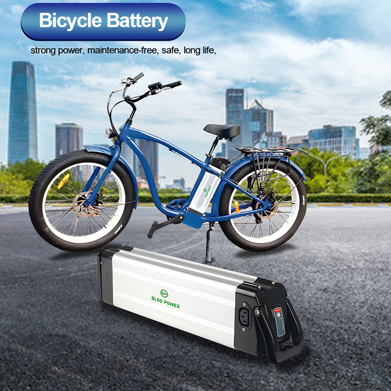 Lithium ion Battery Electric Bicycle Batteries 24V 36V 48V