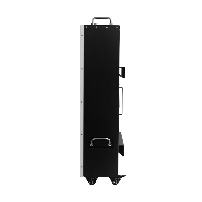 TTN Lithium Battery 48v 200ah Solar Battery Lithium Polymer Battery BMS