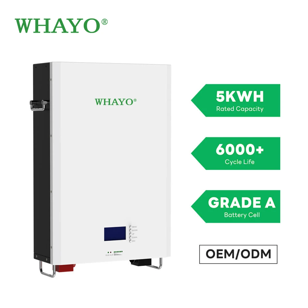 Whayo 2024 NEW Power Wall Lifepo4 Batteries 48V 100Ah 200Ah 5Kw 10Kw Wall Mounted Lithium Ion Battery for Solar Energy Storage
