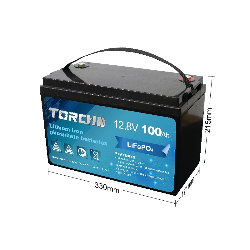 TORCHN 12v Lithium Ion Battery Pack Smart Deep Cycle Lithium Ion Battery 12V 200Ah LiFePO4 Battery with BMS