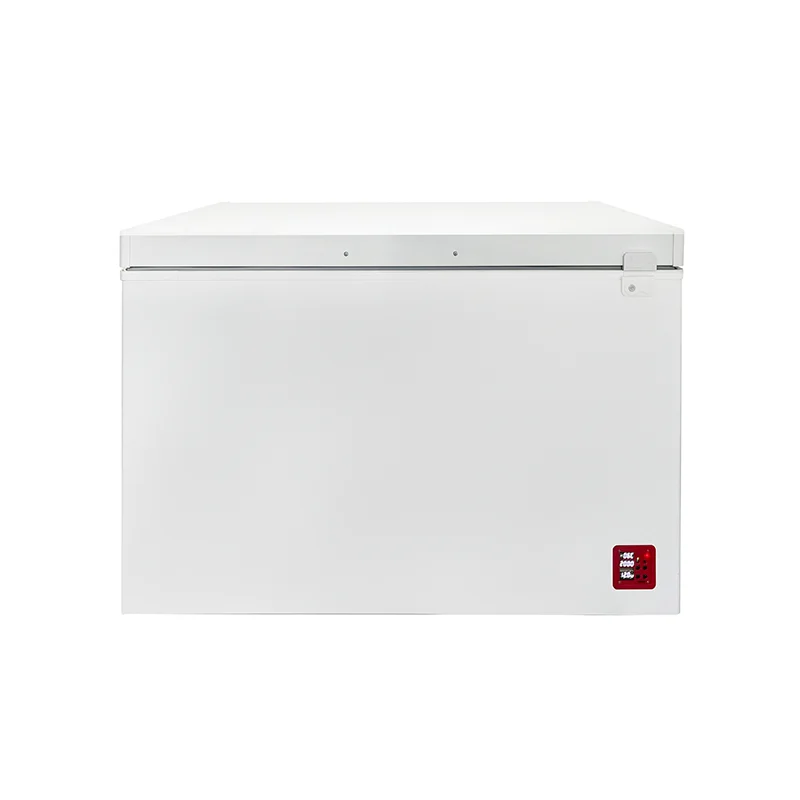 Solar Panel Dc 12v 108L 208L 308L Deep Freezer Solar Directly Powered Freezer with Panel Battery