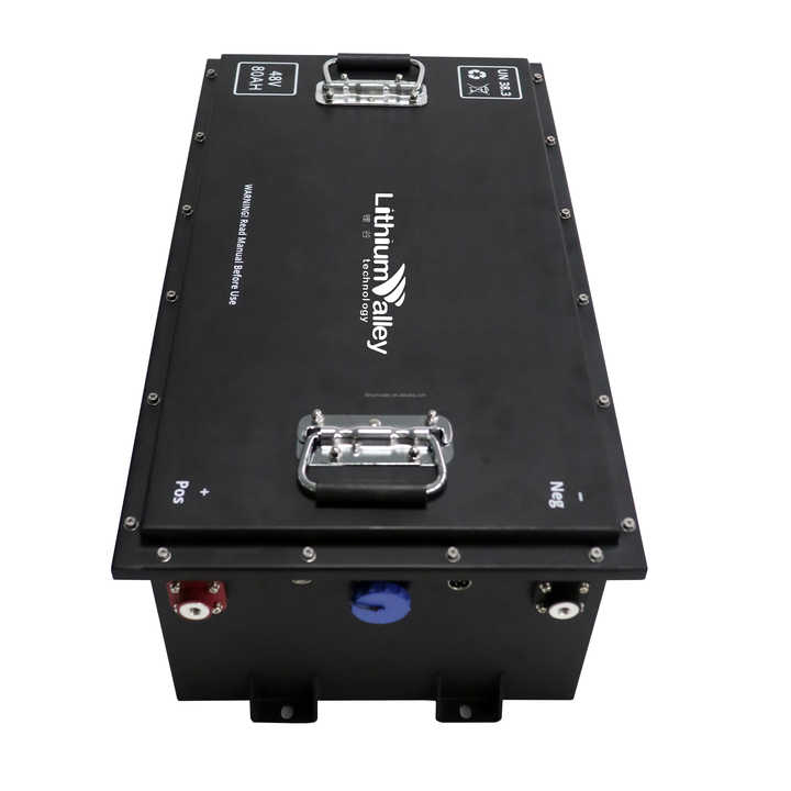 Lithium Ion Battery 48V 100Ah LiFePO4 Deep Cycle for E-Bikes Golf Carts Electric Motorcycles