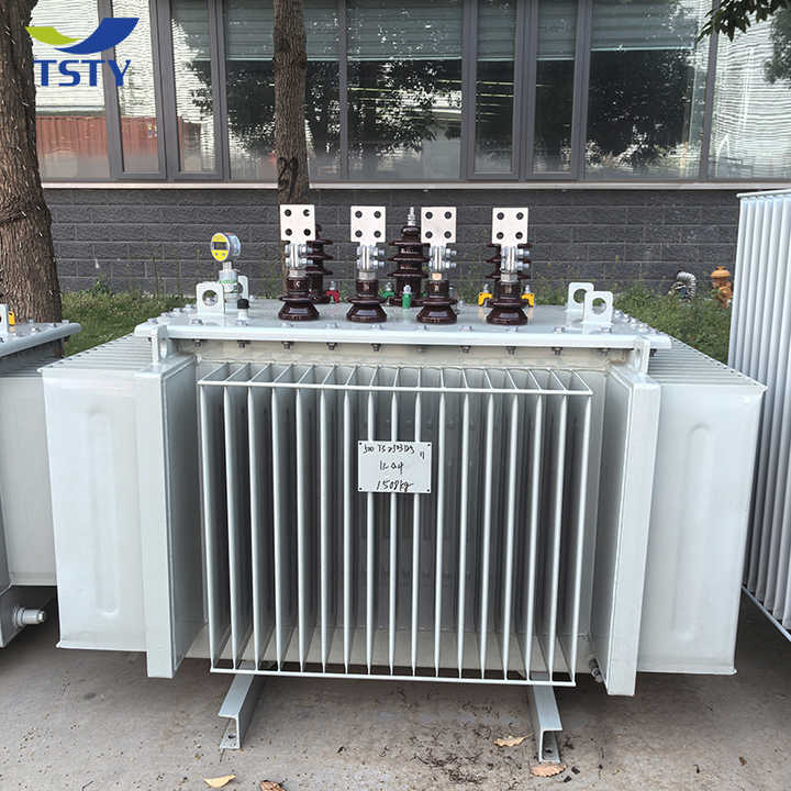 Power Transformer Oil-Immersed Transformer Distribution Transformer High Quality Durable Reliable for Industrial Electronic Applications TSTY