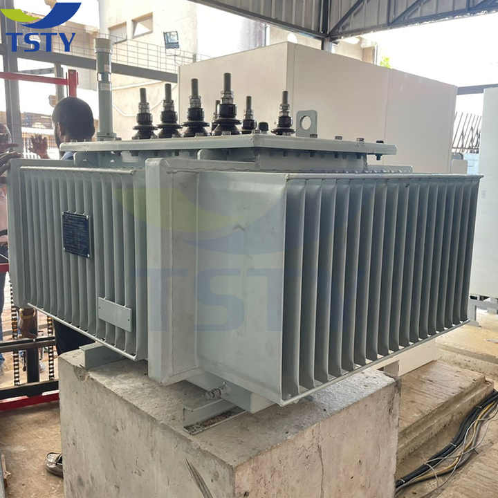 Three Phase Power Electrical Transformer 33KV 15KV 10KV 20KVA 25KVA 125KVA 200KVA 250KVA 300KVA Oil-Immersed Multi Winding for Electronic Applications TSTY