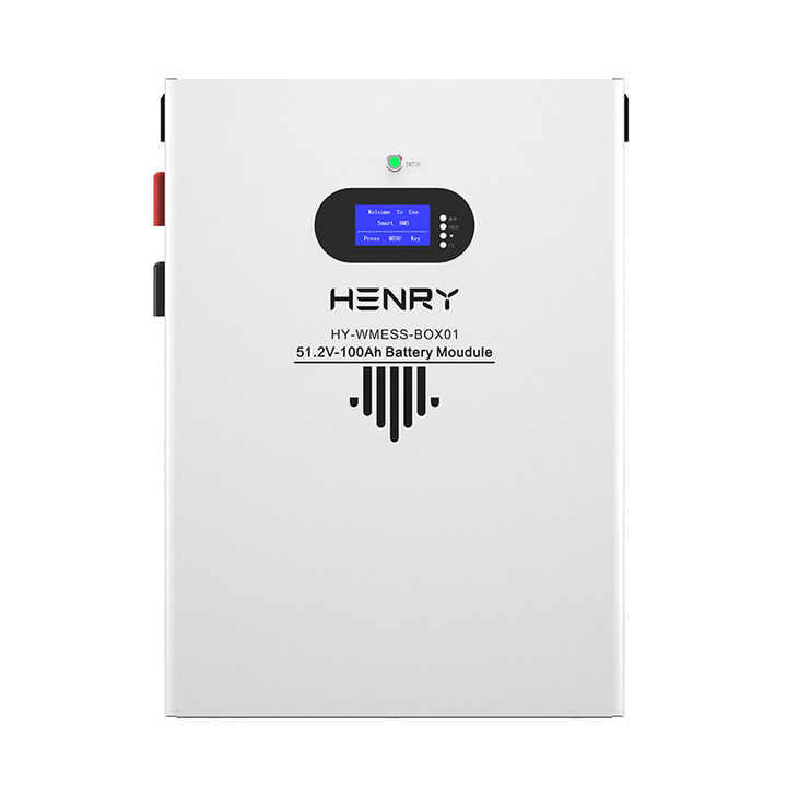 HENRY 5kWh 48V 51.2V 100Ah Rechargeable LiFePO4 Battery Module for Solar & Home Energy Storage Systems