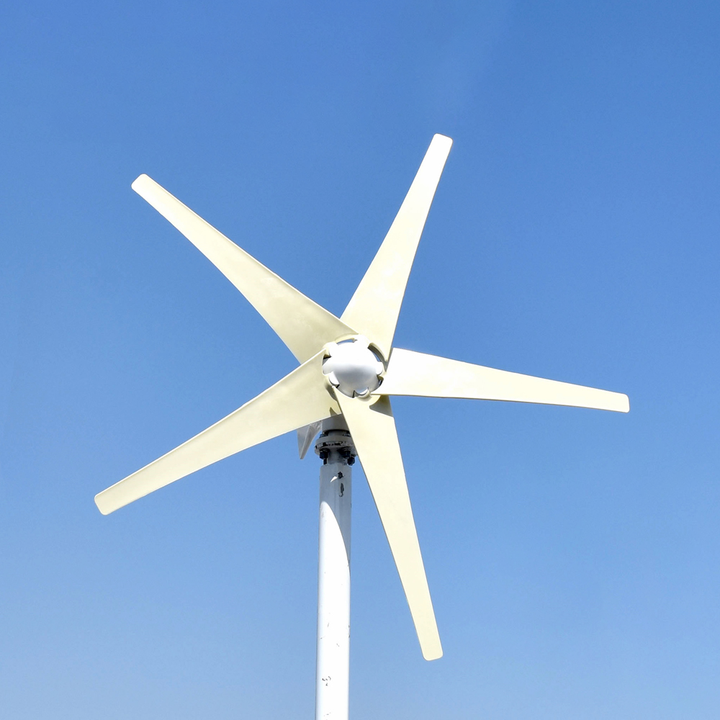 1000W Wind Turbine Generator 12V/24V Roof-Mounted Residential Use elege