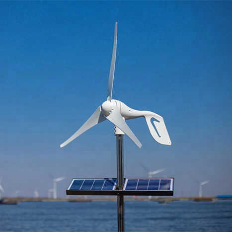 Wind Solar Hybrid Power Generation System 800W Monocrystalline Silicon Renewable Energy Solution for Off-Grid Home Power Supply