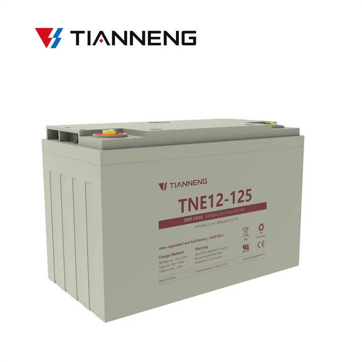 Lead Acid Battery 12V 125Ah Deep Cycle Sealed AGM for Electric Wheelchairs Power Systems Tianneng