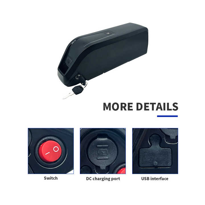 Hailong Ebike Battery Pack 48V 30Ah LiFePO4 Motorcycle Scooter Wintonic