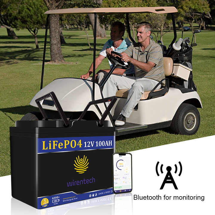 Wirentech 12V 100Ah Lithium Ion Battery for Solar Energy Storage Systems and Electric Vehicles