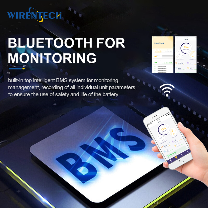 12V 400Ah LiFePO4 Battery 6000 Cycles Deep Cycle Energy Storage System for RV Golf Cart wirentech