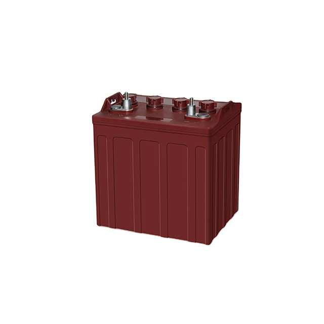 6V 180Ah Golf Cart Battery Pack Deep Cycle Long Life for Electric Vehicles Bikes Scooters Power Tools LEOPARD