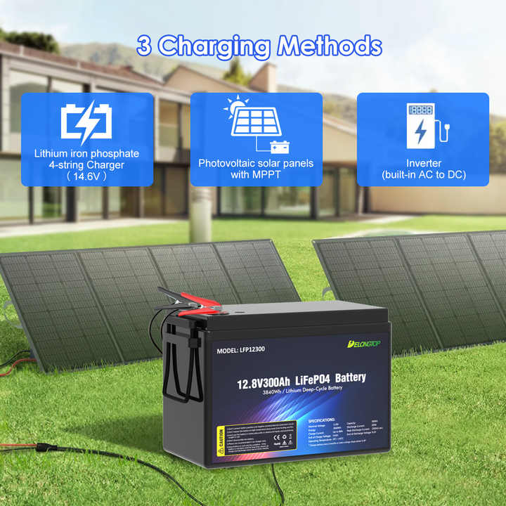 12V 100Ah 200Ah 300Ah LiFePO4 Battery Long Cycle Life 6000 Cycles for RVs Marine Home Energy Storage Trolling Motor Electric Boat DELONGTOP