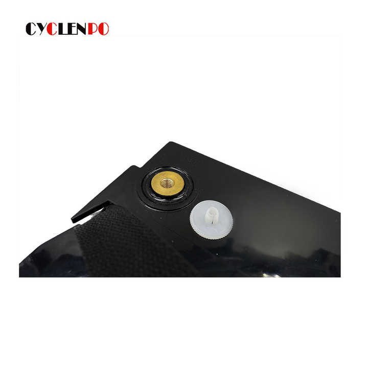 LiFePO4 12V 100Ah Battery 4000 Cycles Solar Energy Storage System for Electric Vehicles cyclenpo
