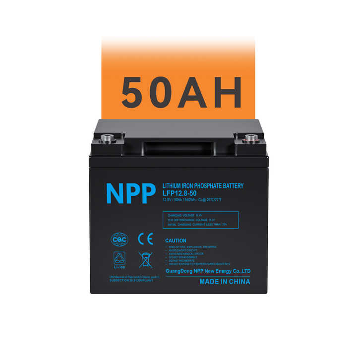 Lithium Lifepo4 Battery Charger 12.8V 100Ah 24V 200Ah High Cycle Life for Solar Energy Storage Golf Carts Electric Bicycles NPP
