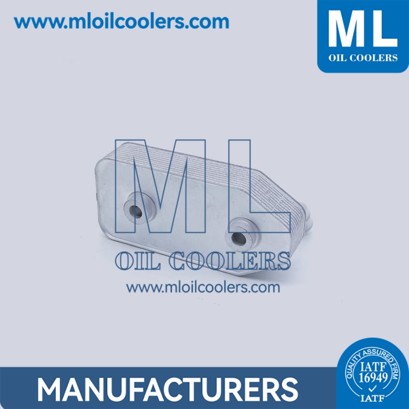 Oil Cooler Kit 096409061G 096409061F 096409061D Aluminum Transmission Cooling System for VW Golf Jetta Beetle TDI 2.0L
