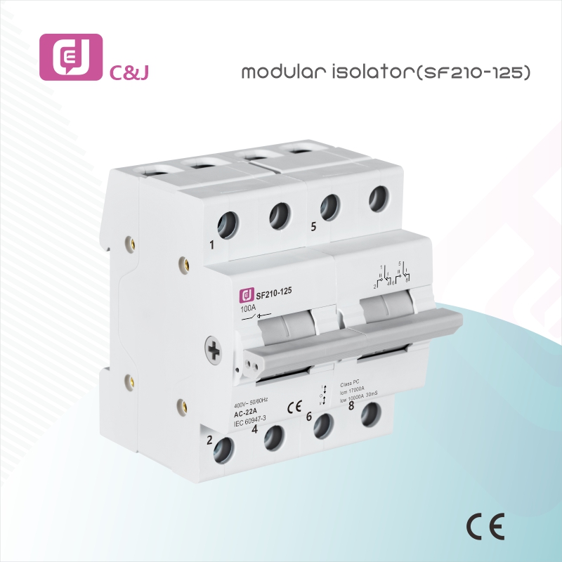 Factory Supply SF210-125 2P Electrical DIN Rail Mini Modular Isolator for Circuit Protection in Household and Industrial Applications