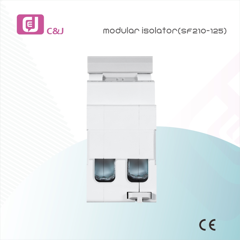 Factory Supply SF210-125 2P Electrical DIN Rail Mini Modular Isolator for Circuit Protection in Household and Industrial Applications