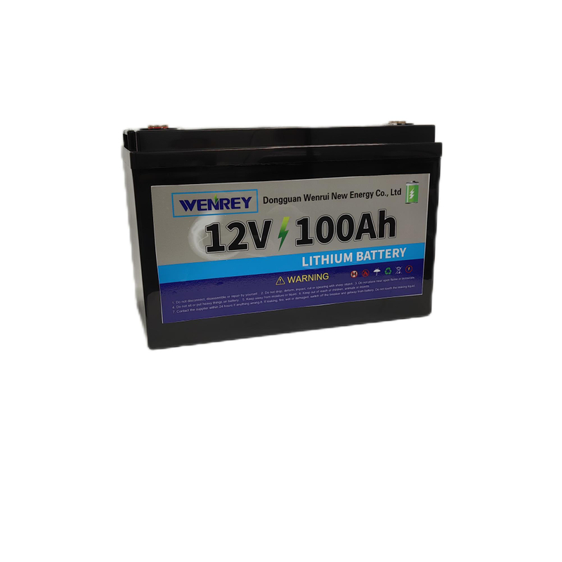 12V 100Ah Smart Solar Energy Storage Battery Pack Sodium Ion LiFePO4 Off-Grid Solar Systems WENREY