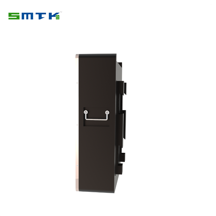 5KWH Solar Power Wall Battery LiFePO4 100A Smart BMS Home Energy Storage System for Solar Power DGSmartec