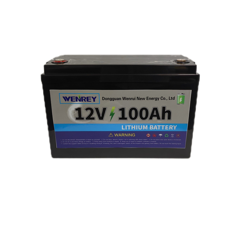 12V 100Ah Smart Solar Energy Storage Battery Pack Sodium Ion LiFePO4 Off-Grid Solar Systems WENREY