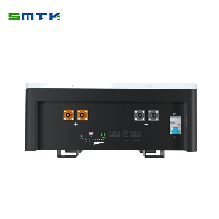 5KWH Solar Power Wall Battery LiFePO4 100A Smart BMS Home Energy Storage System for Solar Power DGSmartec