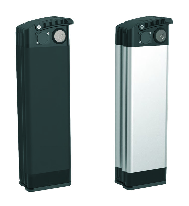 Whitebait Lithium Battery 36V-48V High Energy Density for Portable Power Supply, UPS, Outdoor Lighting THBattery