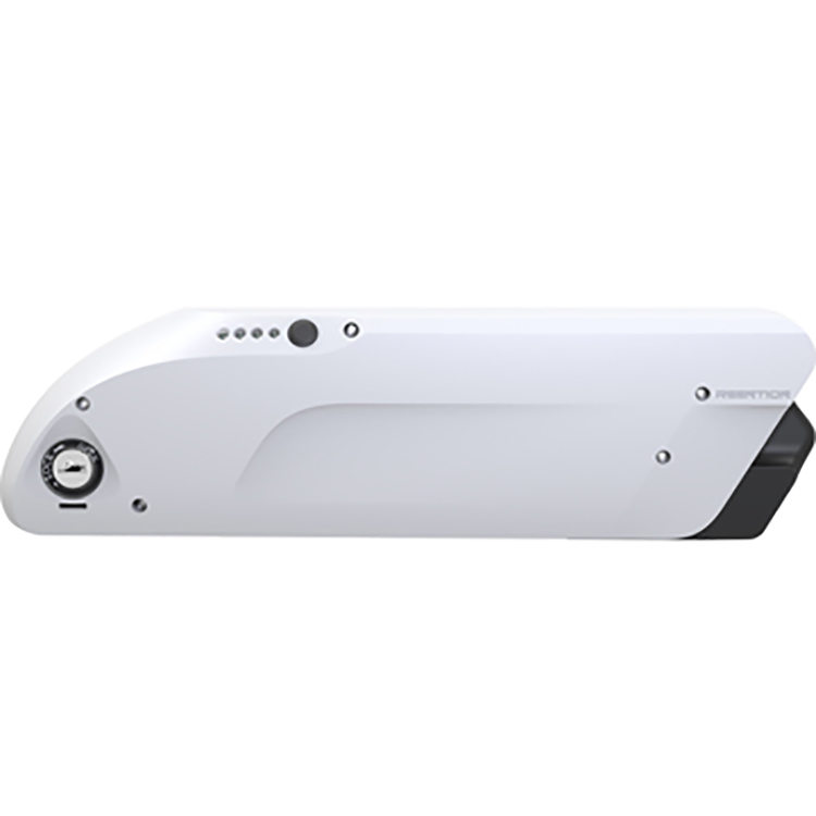 Silver fish lithium battery 36V-48V High Energy Density Mobile Power Supply, Lamp, UPS, Portable Tools THBATTERY