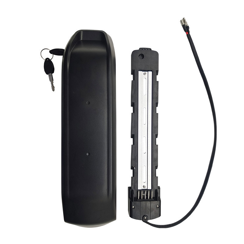 Cns 36V25ah Battery Electric Bicycle Mountain Bike Electric Vehicle Lithium Battery