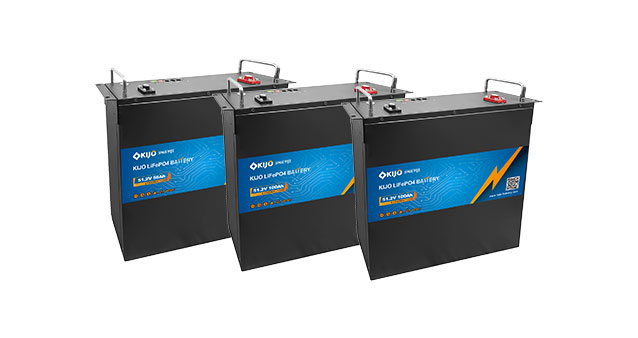LV Rack-mounted Power Supply 2.56KWH-10.24KWh LiFePO4 Battery Rack Mount for Energy Storage & Microgrid Systems