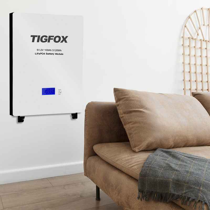 Wall-Mounted Battery 51.2V 100AH 5.12KWH LiFePO4 Solar Storage for Home Energy Systems