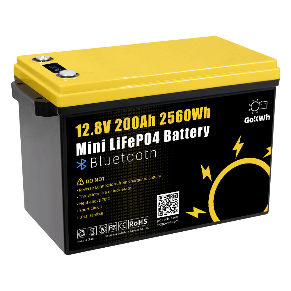 GoKWh 12V 200Ah LiFePO4 Battery 2560Wh Built-in BMS & Bluetooth for Solar Storage and Off-Grid Systems