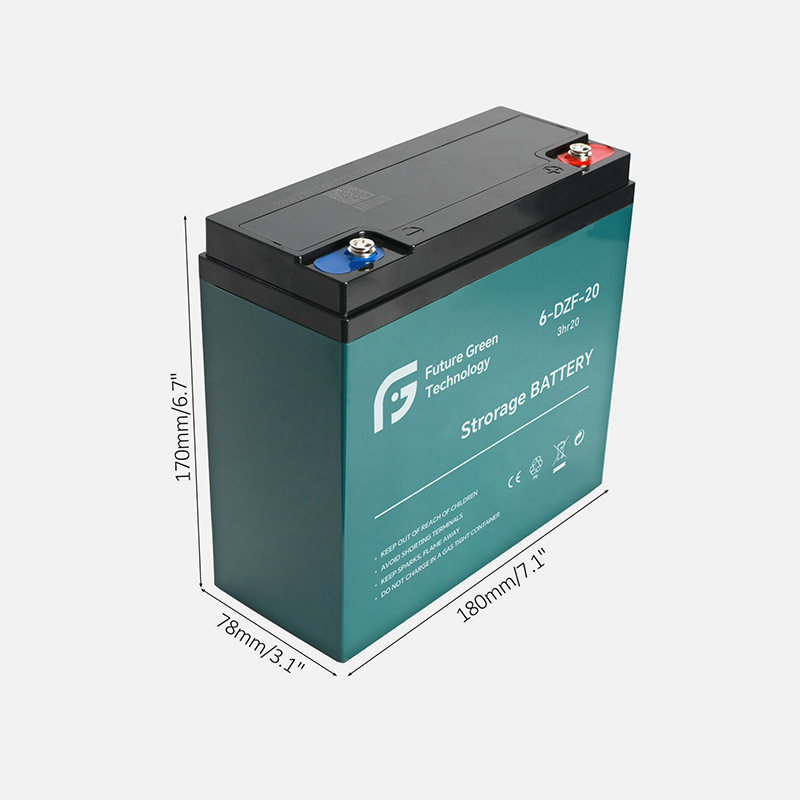 12V 24Ah 6-DZF-24 Battery Deep Cycle AGM for Electric Vehicles Mobility Scooters Wheelchairs Golf Carts FGET