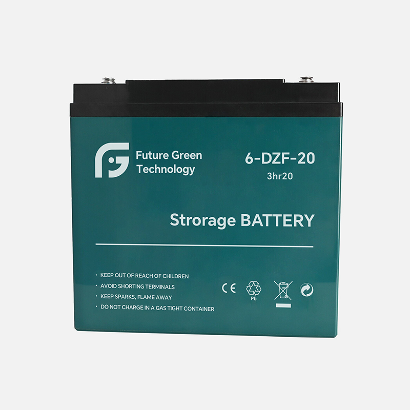 12V 24Ah 6-DZF-24 Battery Deep Cycle AGM for Electric Vehicles Mobility Scooters Wheelchairs Golf Carts FGET
