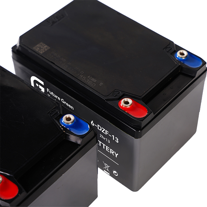 12V 24Ah 6-DZF-24 Battery Deep Cycle AGM for Electric Vehicles Mobility Scooters Wheelchairs Golf Carts FGET
