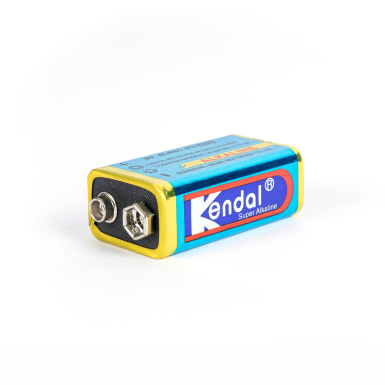 Alkaline Battery 6LR61 9V Large Capacity Long-Lasting for Smoke Detector Wireless Doorbell Microphone Kendall