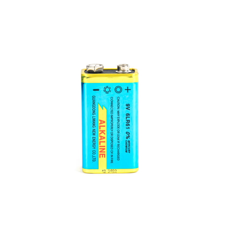 Alkaline Battery 6LR61 9V Large Capacity Long-Lasting for Smoke Detector Wireless Doorbell Microphone Kendall