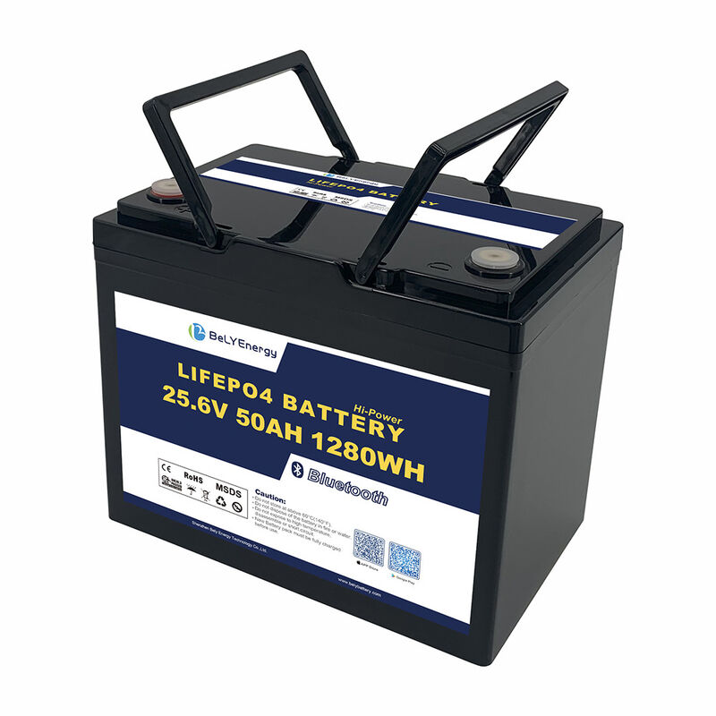 OEM ODM ABS Anti-UV Marine Boat Battery 24V 50AH LiFePO4 Lithium Battery With BT High-Cycle Life, Bluetooth Monitoring for Boats and Solar Systems