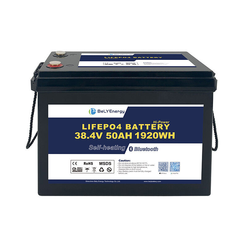 Deep Cycle LiFePO4 Lithium Battery 36V 50AH Smart BMS Marine Boat Renewable Energy